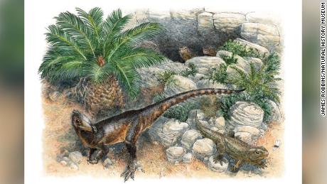 Dinky war der kleinste seiner Art, als er vor 200 Millionen Jahren durch Wales streifte