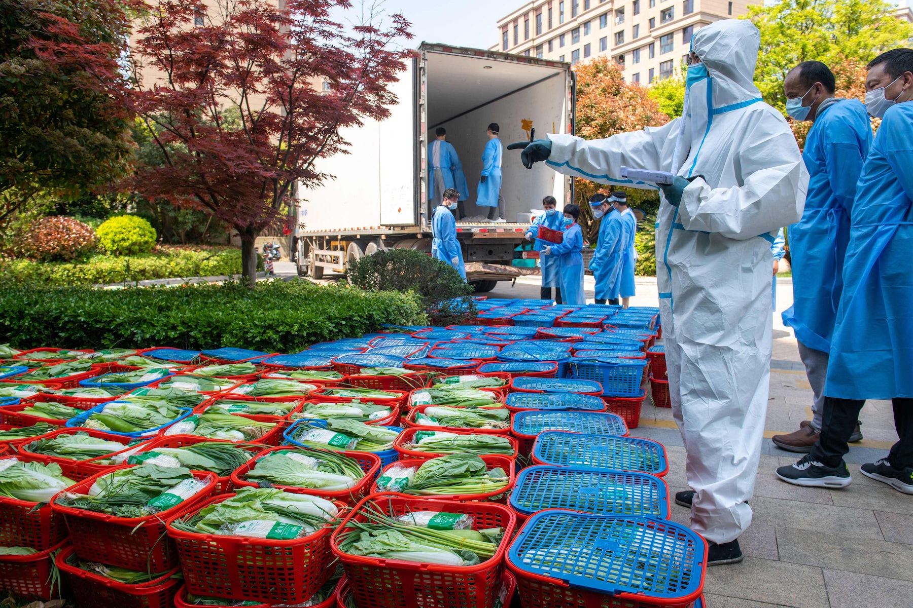 Ein Freiwilliger, der persönliche Schutzausrüstung trägt, prüft am 12. April Gemüse für die Verteilung an die Bewohner eines Geländes in Shanghai.  Ein Freiwilliger in Shanghai transportiert Säcke mit Gemüse, die von der Regierung während einer stadtweiten Abriegelung übergeben wurden.  Freiwillige liefern am 9. April Lebensmittelvorräte in Shanghai ab.  (Liu Jin/AFP und Qilai Shen/Bloomberg) 