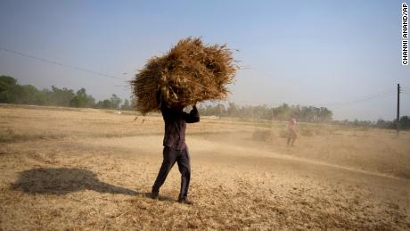 Ein indischer Bauer trägt am Donnerstag, den 28. 