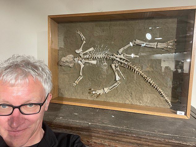 Der 54-jährige Mann (im Bild Tom Holland) ging mit seinem Vater zum Verkauf in Woolley & Wallis in Salisbury, Wales, um eine Präsentation über das Skelett einer Psittacosarus (Papageieneidechse) im Alter von 97,5 bis 119 Millionen Jahren zu halten