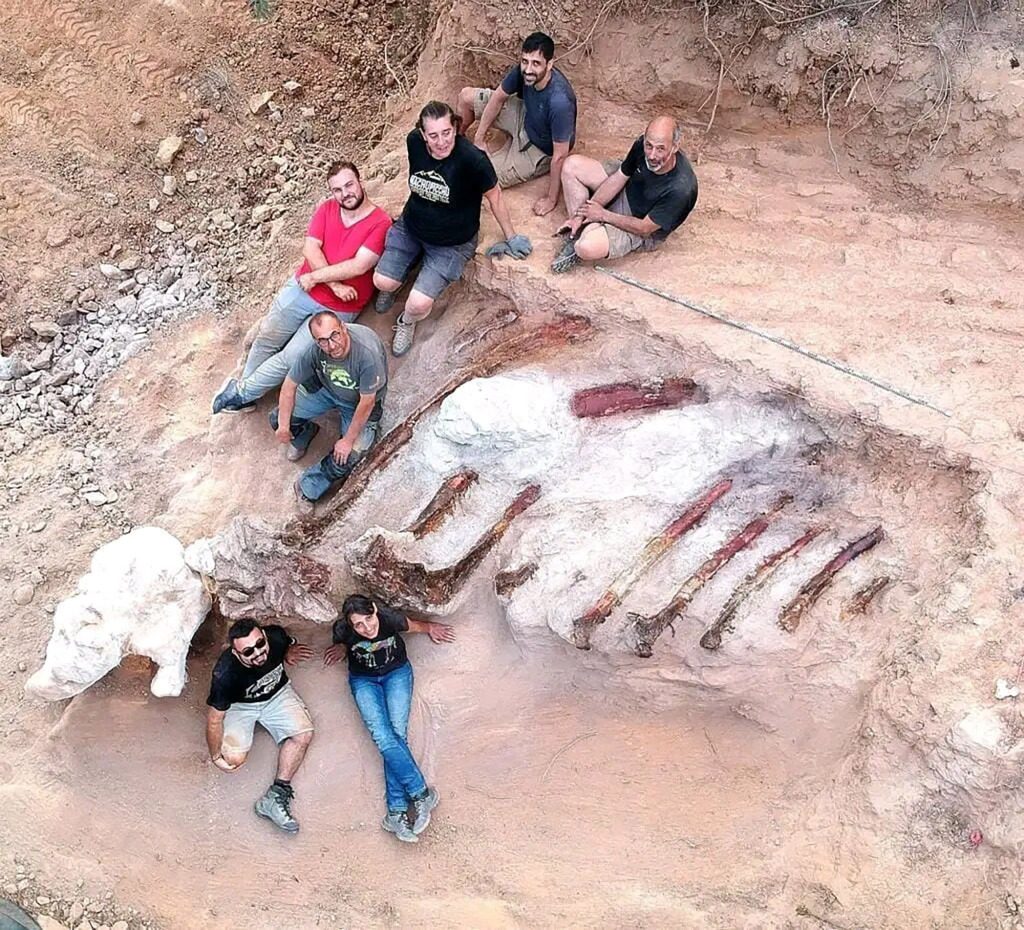 Im August sammelten Paläontologen drei Meter lange Rippen.  